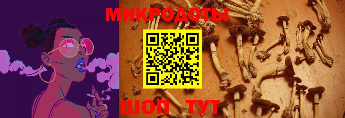 Галлюциногенные грибы Psilocybe  купить   Зеленокумск  Галлюциногенные грибы ЛСД  Вход с VPN 